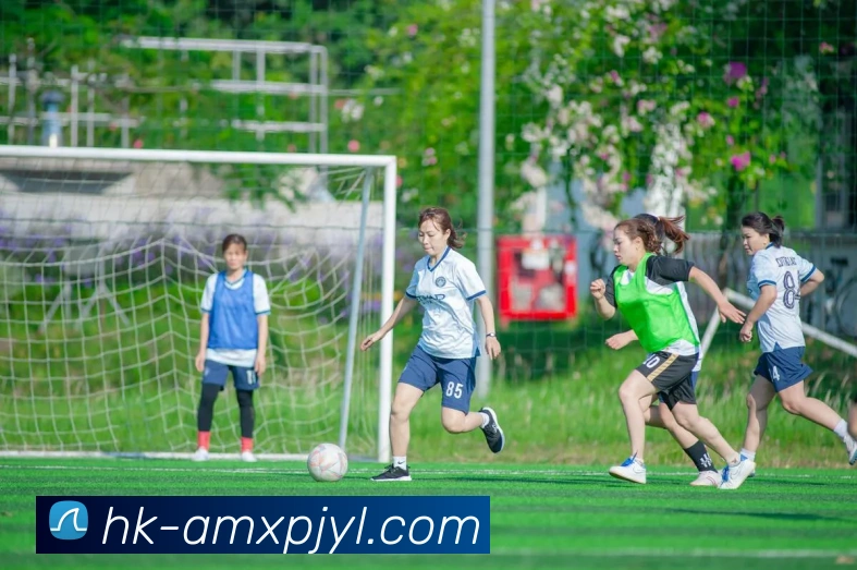 多媒体互动体验